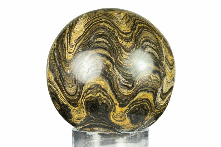 Polished Stromatolite (Greysonia) Sphere - Bolivia #302453